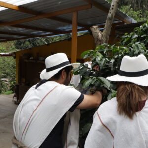 Budget-Friendly Coffee Farm Tour Bogotá – public transport rural coffee experience