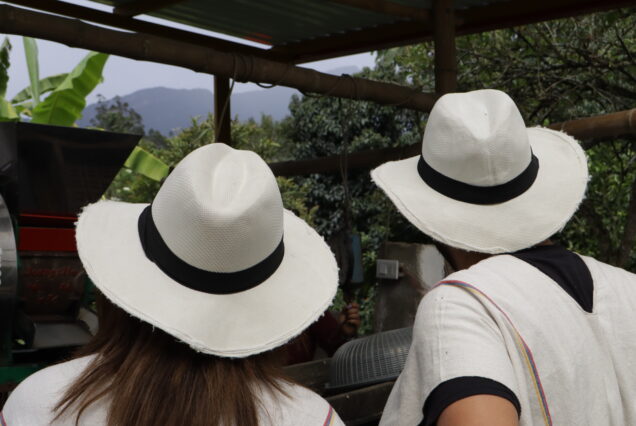 "visitors on eco-friendly farm visiting during Coffee Tour near Bogotá"