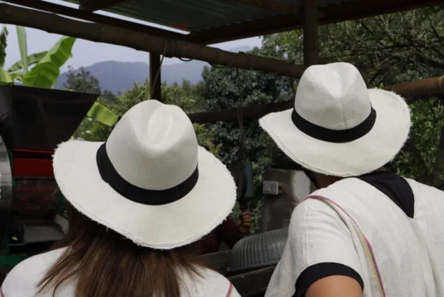 "visitors on eco-friendly farm visiting during Coffee Tour near Bogotá"