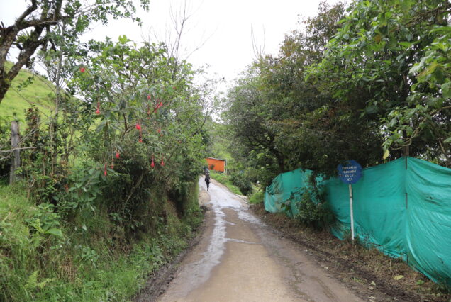 "Colombian nature tour – La Chorrera and Chiflón hike"