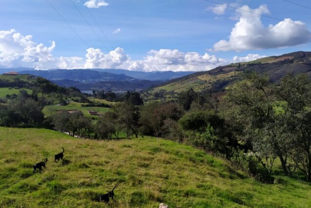 Andean countryside views captured during the Guatavita Salt Cathedral Tour from Bogotá