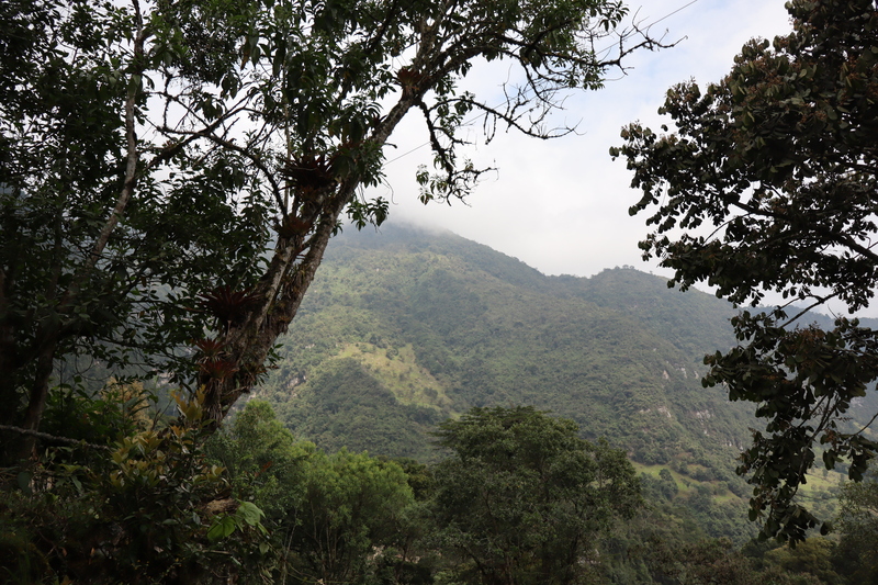 Chorrera Tour Bogotá tallest waterfall Colombia 