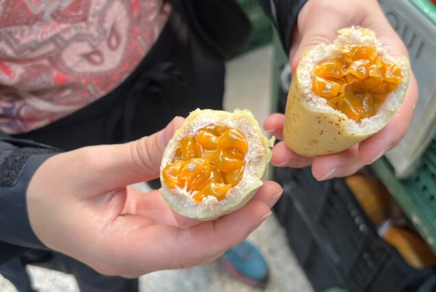 Bogotá Market Experience – fruits, traditional markets and local life in Bogotá