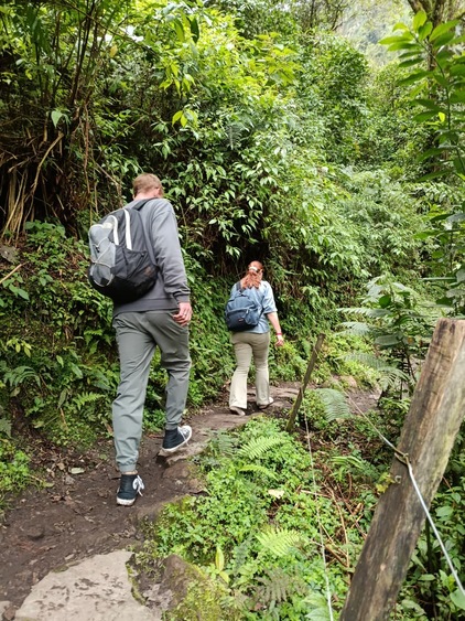 Best tours in Bogotá in 2026 with local experiences including coffee farms, waterfalls, food tours and cultural activities.